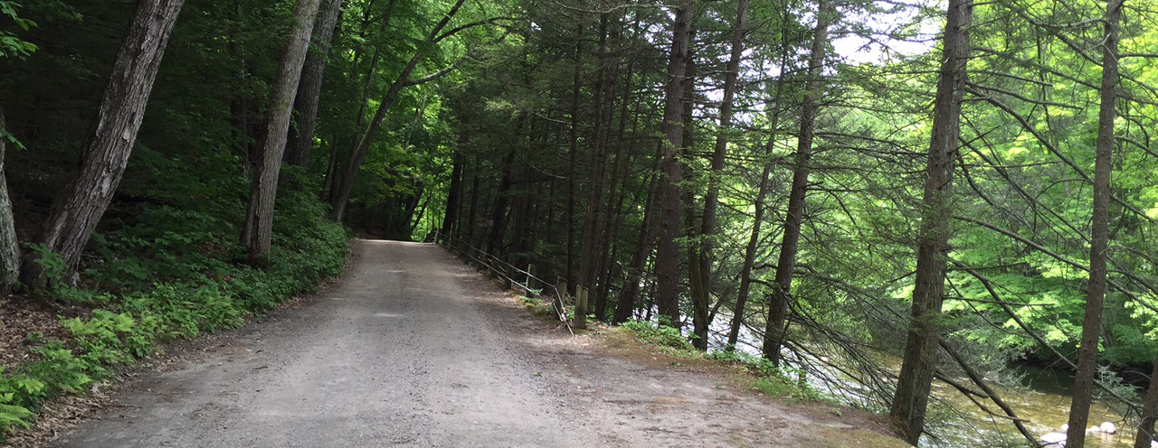 Tunnel Road Connector Hike